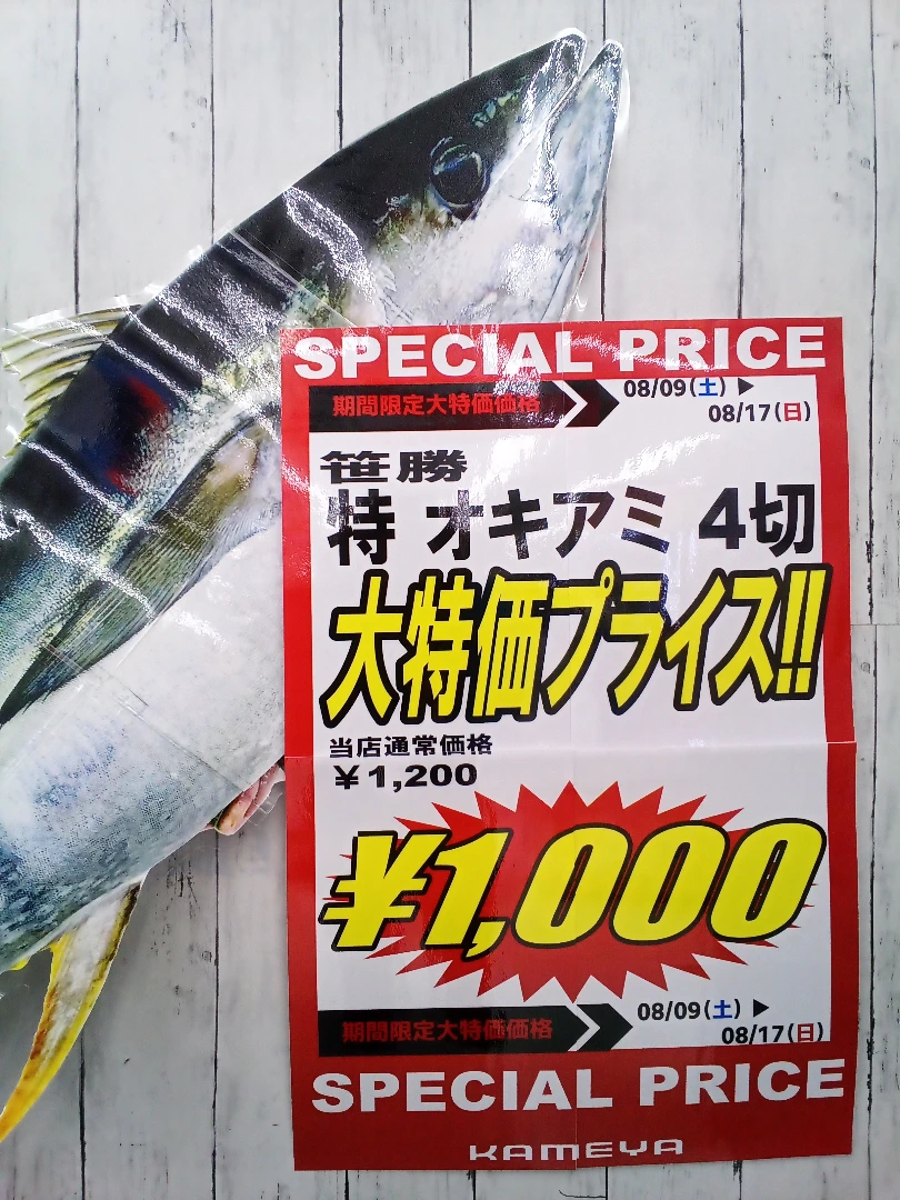 速報・特別価格のご案内 | かめや釣具