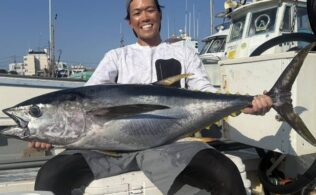 相模湾内キハダマグロ釣れてます。