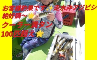 東京湾走水沖にてアジ１１０匹
