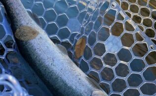 10月28日　裾野フィッシングパーク　エリアトラウト