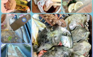 知多半島　オザボート　カワハギ　アジ　泳がせ