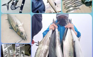 伊勢湾サワラキャスティング　サワラ　サゴシ