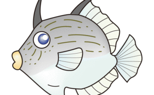 2025/10/27 沼津周辺サーフ　カワハギ