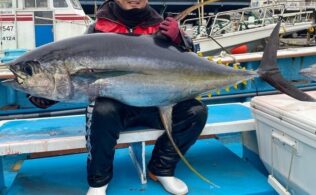 相模湾内にて大型キハダマグロ釣れてます。