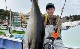 相模湾にてキハダマグロが釣れてます。