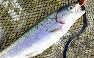 北方管理釣り場にてニジマス