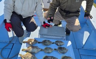 宇佐美沖にてカワハギ好調です。