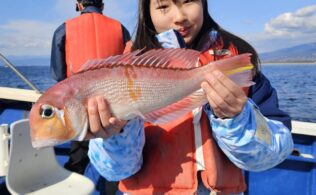 沼津沖にてアマダイが釣れてます。