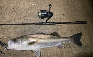 2026/2/5　江の島エリア　シーバス