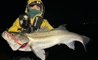 木曽川 シーバス