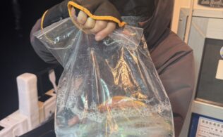 沼津沖にてマルイカが釣れてます。