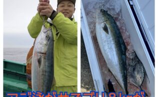 相模湾・平塚沖にてブリ8kg