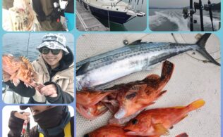 福井県小浜発　白石　つまみ丸　ジギング　タイラバ