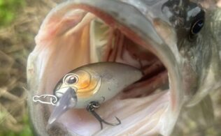 2026/03/30　養老水系　ブラックバス