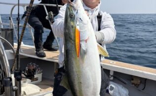 2026/3/29  京都 舞鶴沖　ブリ