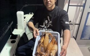 沼津沖にてムギイカが釣れてます。