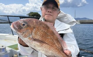 沼津沖にて真鯛が釣れております。
