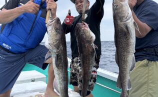 お客様釣果です。新潟遠征船釣りにてタラが釣れたそうです。