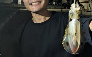 西湘エリアの堤防にてアオリイカが釣れております。