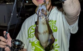 西湘エリア堤防でアオリイカ釣れてます。