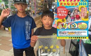 2026/08/27  武豊緑地　サッパ　多数