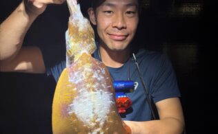 西湘エリアの堤防でアオリイカが釣れてます。