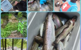 醒ヶ井鱒釣り場　トラウト　渓流　貸し切り