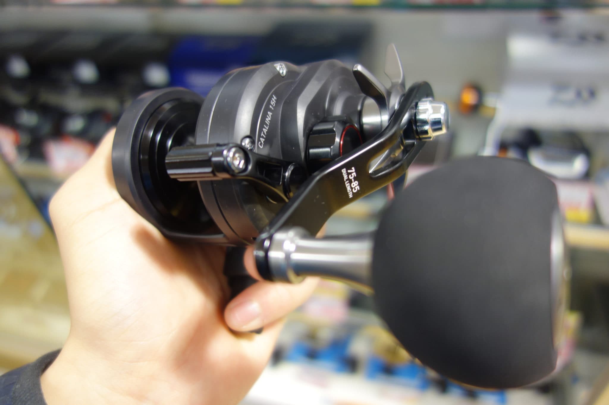 オプティミスティック 【DAIWA】19 キャタリナ15H - crumiller.com