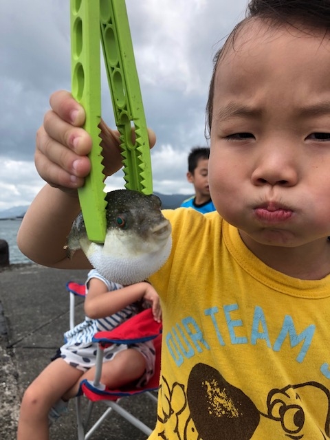 谷山港 サビキ釣り 色々な魚釣れます 谷山店 かめや釣具