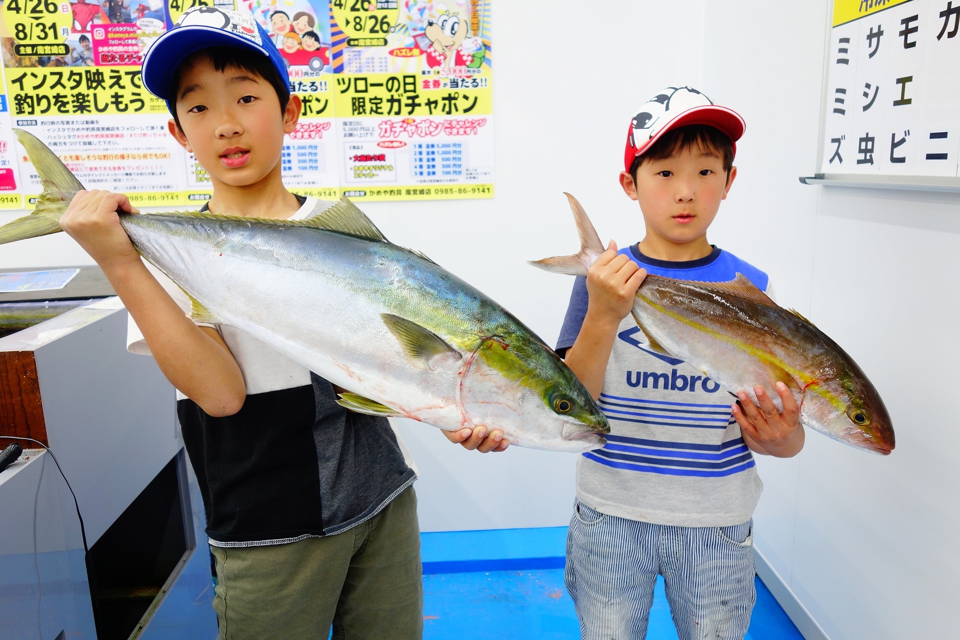 日南沖 ブリ カンパチ かめや釣具