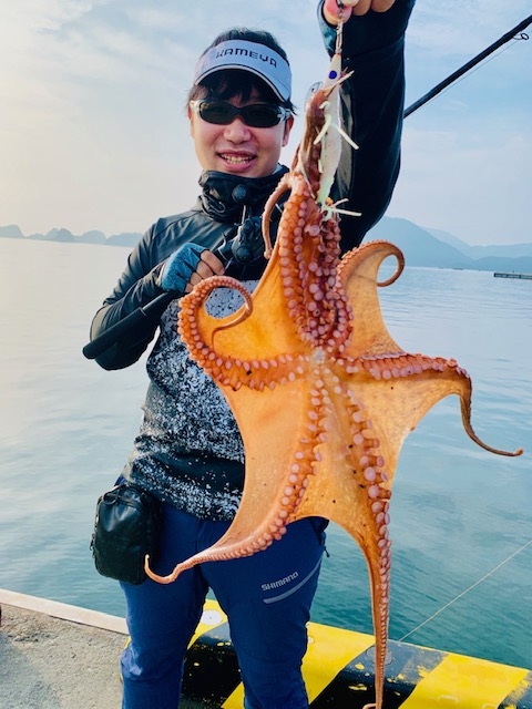 蛸、釣れてます。宮崎店 | かめや釣具