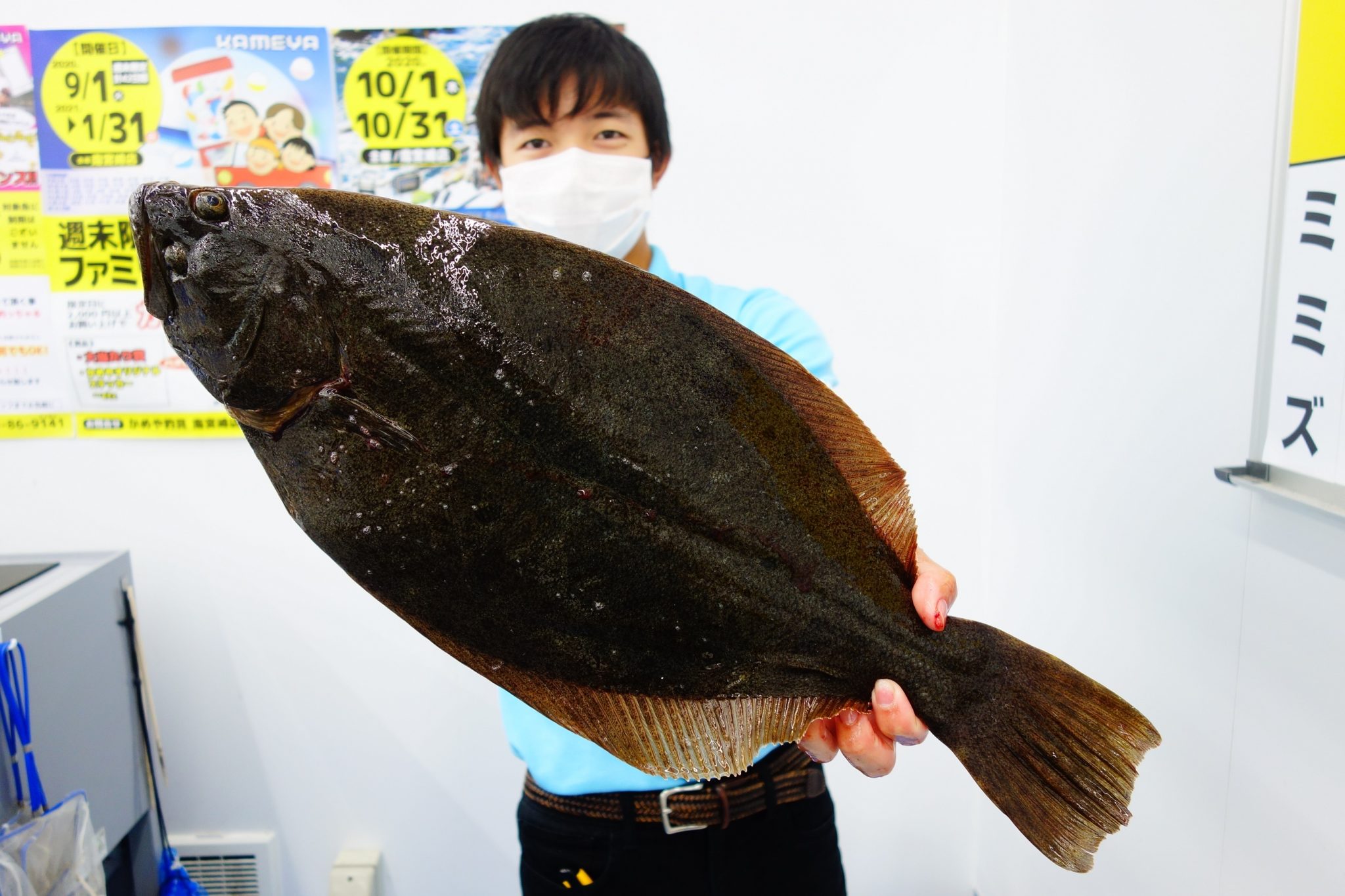 加江田川でヒラメの釣果 南宮崎店 かめや釣具