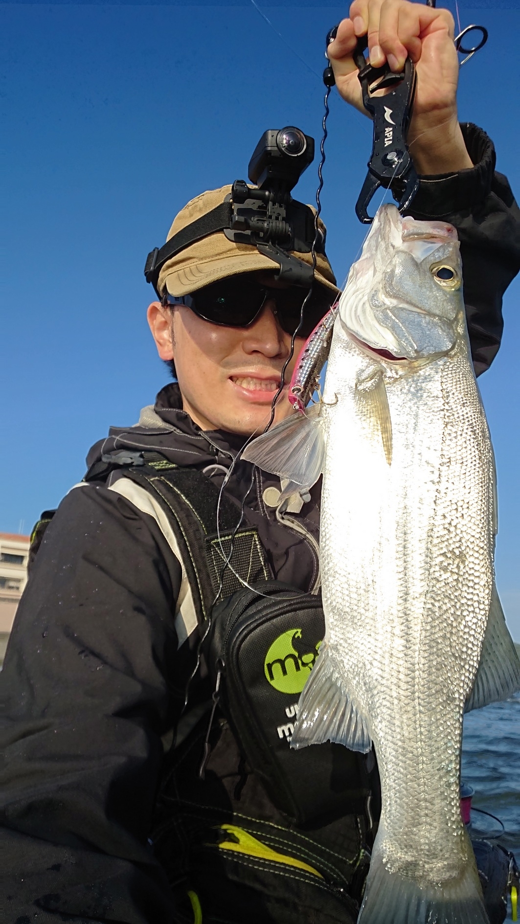 宮崎 堀切峠 磯ヒラスズキ釣行 南宮崎店 かめや釣具