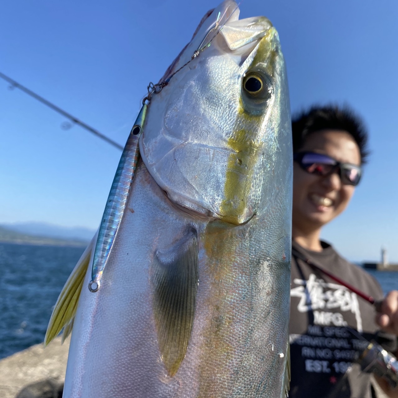 釣行記 錦江湾 短時間釣行ショアジギング ジグ シーバスルアーでブリ ヤズ の釣果 喰っていたベイトは だった 鹿児島谷山店 かめや釣具