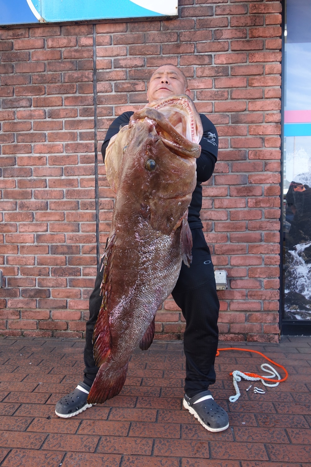 船間 特大アラの釣果 フィッシング都城店 12 21 かめや釣具