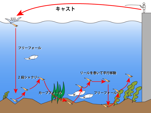 釣行記 アオリイカシーズン到来 錦江湾のエギングは赤テープが決め手 鹿児島姶良店 かめや釣具
