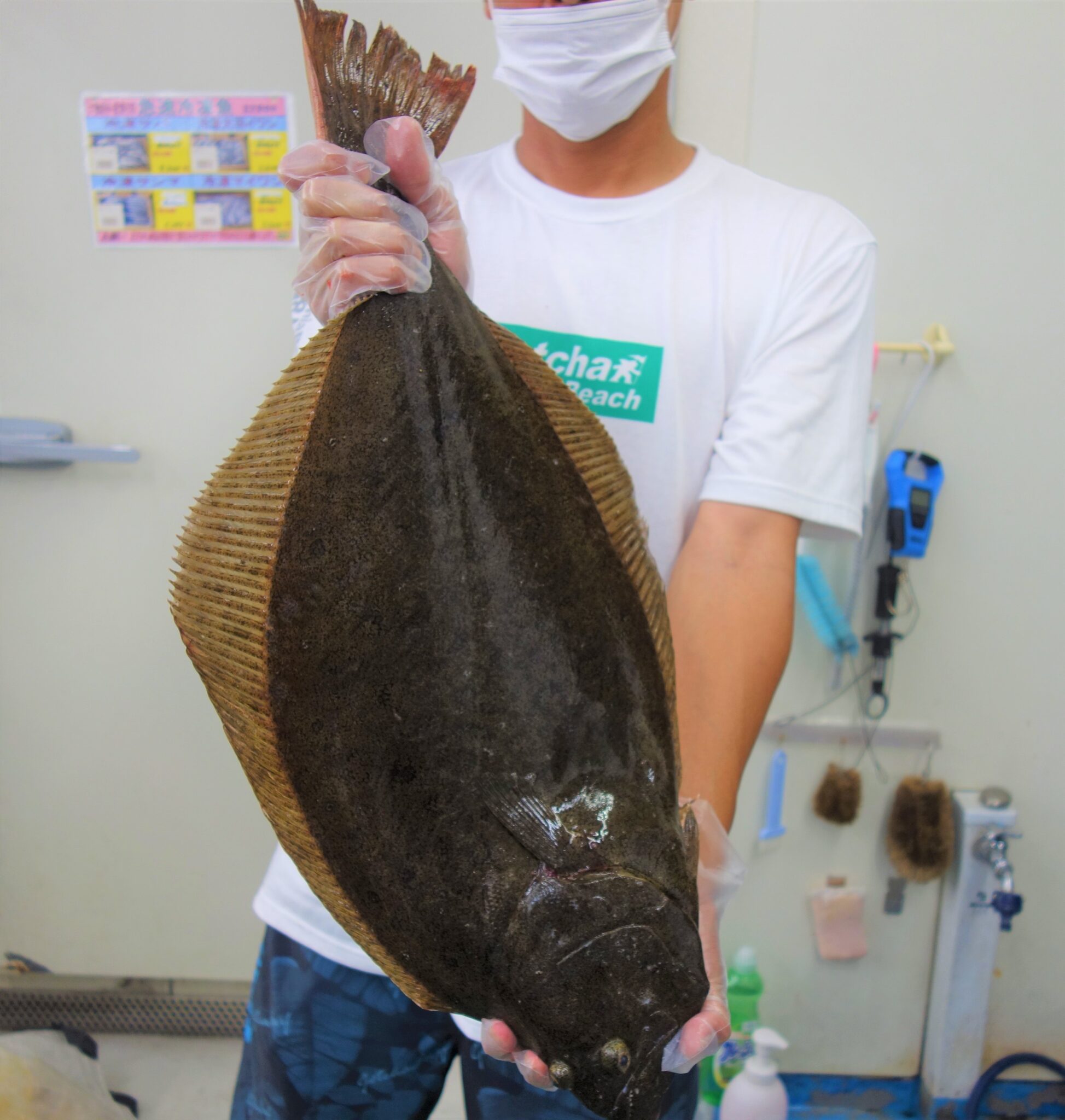 ヒラメのお持込み！宮崎店 | かめや釣具