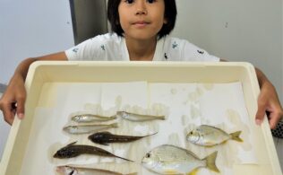 宮崎臨海公園での釣果です♪
