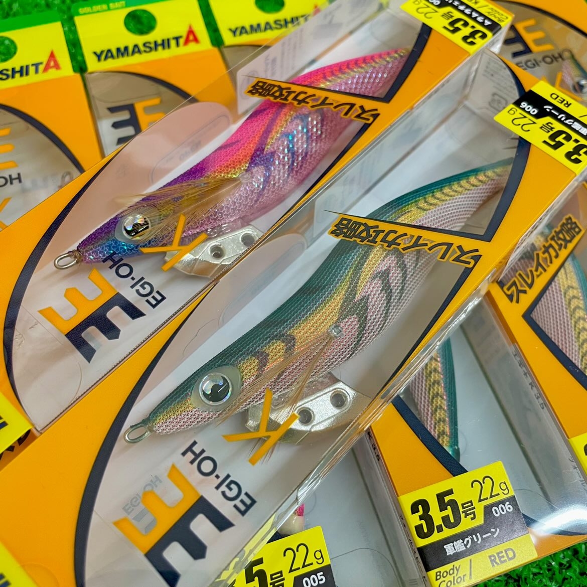 エギ王K 人気カラー「ムラムラリェリー・軍艦グリーン」再入荷！ 宮崎