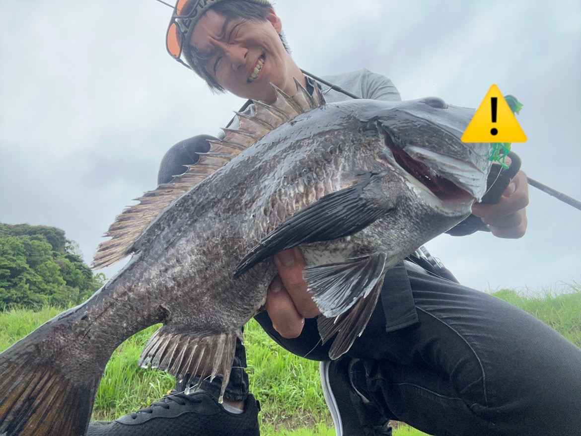 101 山採り　カマツカ IMG_5262_1_1200x1200.jpg?v=