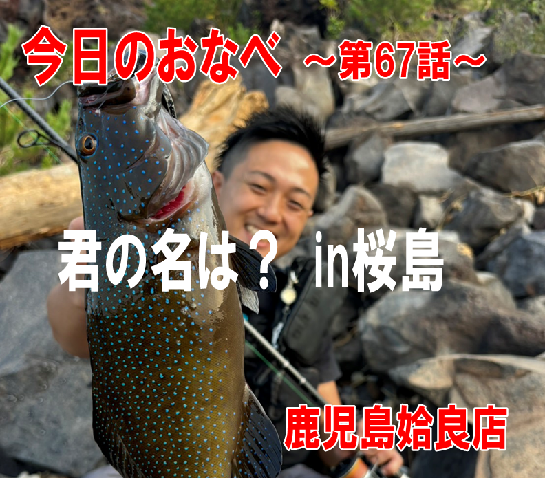 今日のおなべ】～第67話～君の名は？ in桜島 鹿児島姶良店 | かめや釣具