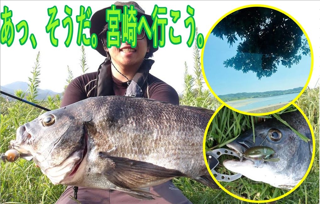 イワジーの気ままにフィッシングNo,32】あっ、そうだ。宮崎へ行こう