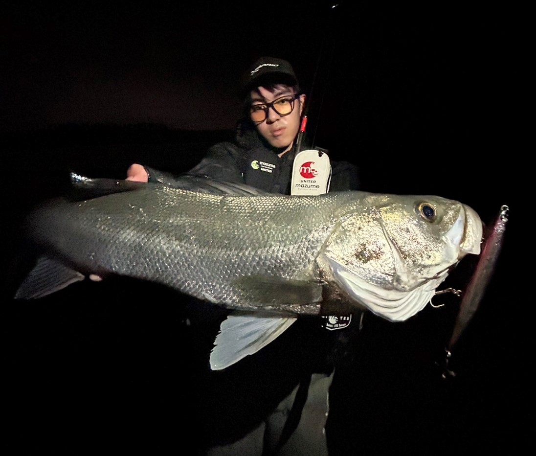 宮崎の海釣り 改訂版 宮崎の海釣り 日本の釣りシリーズ - メルカリ