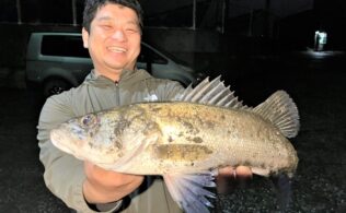 宮崎港♪ミジュンの泳がせ釣りが面白い！(^o^)