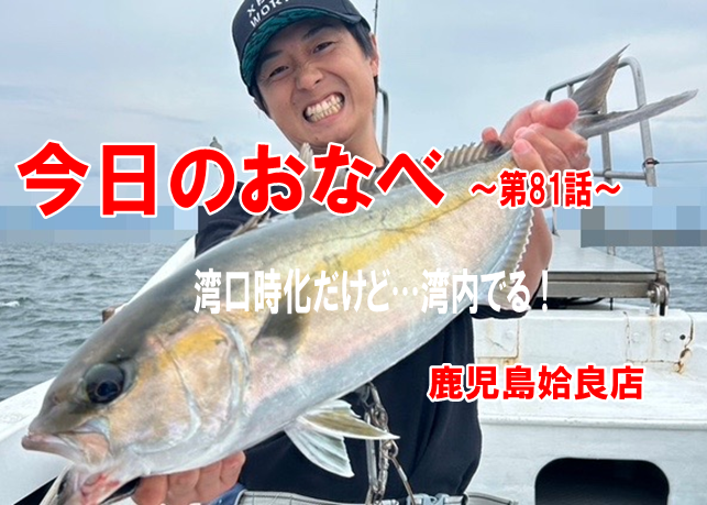 今日のおなべ】～第81話～湾口時化だけど…湾内でる！！鹿児島姶良店