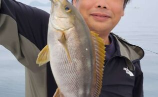 志布志沖イサキ釣れてます☆フィッシング都城