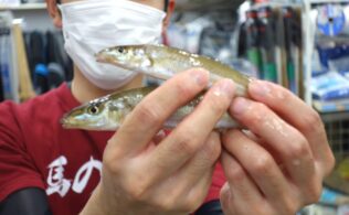 2025年6月17日　シロキス　方財サーフ