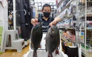 またまたビッグサイズ!!　今月3度目の爆釣劇♪　延岡店