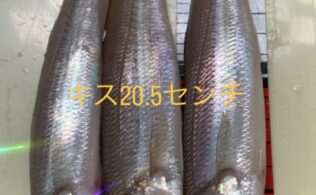 志布志　キス釣果　フィッシング都城