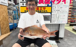 良型　天然真鯛　フィッシング都城